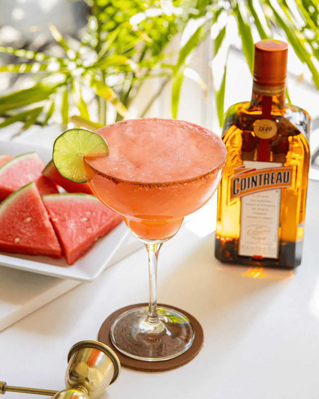 鸡尾酒玩家预备跟随君度探访君度玛格丽特城市地图