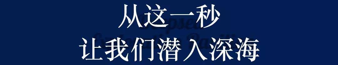 深藏BLUE！同济大学深海探索馆真的火了！
