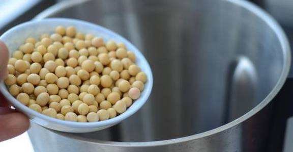 黄豆|秋天,每天早餐给孩子喝一杯,个子高又增强记忆力,比喝牛奶强