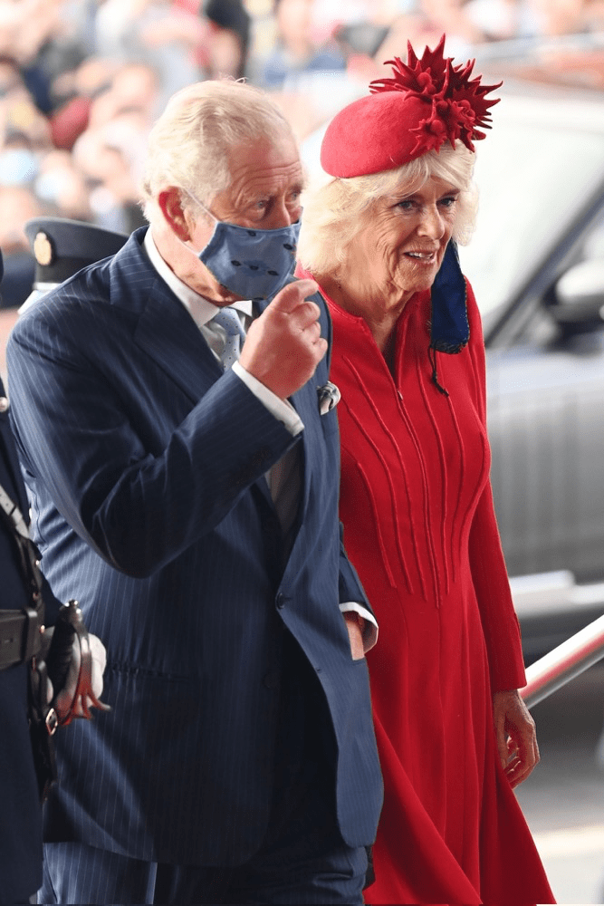 女王 女王又拄拐了!穿粉色大衣,脸蛋白里透红,和卡米拉穿同色系服装