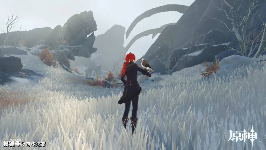 玩家|稻妻的第三片区域，《原神》又做出了什么不同？