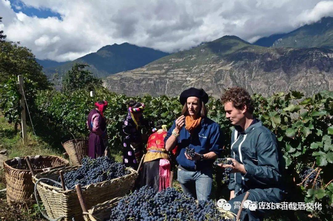 人类学|百馥访谈第6期|肖坤冰博士，从人类学研究角度看待云南·香格里拉葡萄酒产区