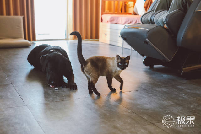 腰部|伏案工作者的福音！74组气囊+仿生机械手，在家私享全身“马杀鸡”