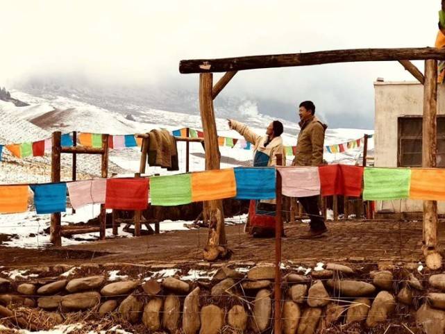 山东|《牛王》：高原的牦牛很牛，和牛有关的这些人这些事更牛