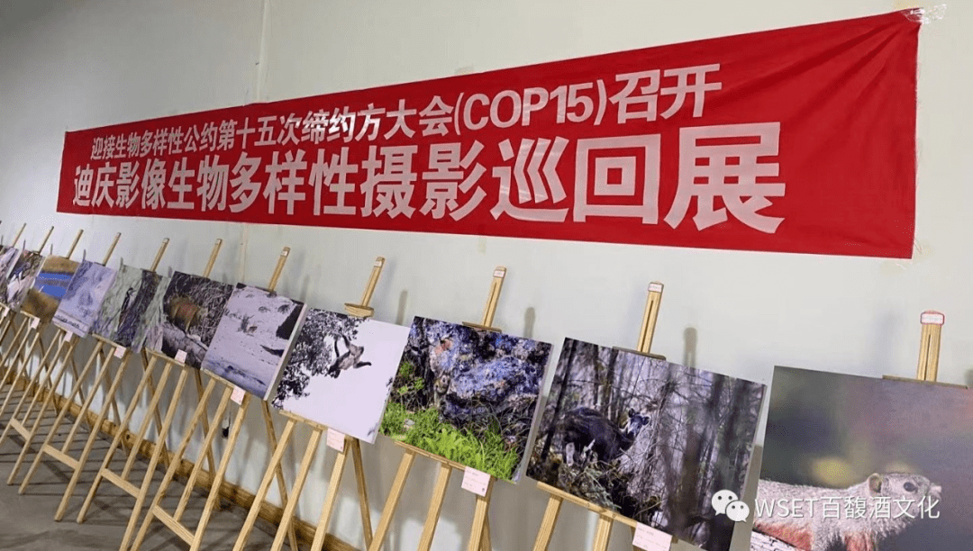 人类学|百馥访谈第6期|肖坤冰博士,从人类学研究角度看待云南·香格里拉葡萄酒产区