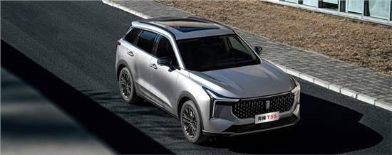 家族|看奔腾T55实力演绎国潮范