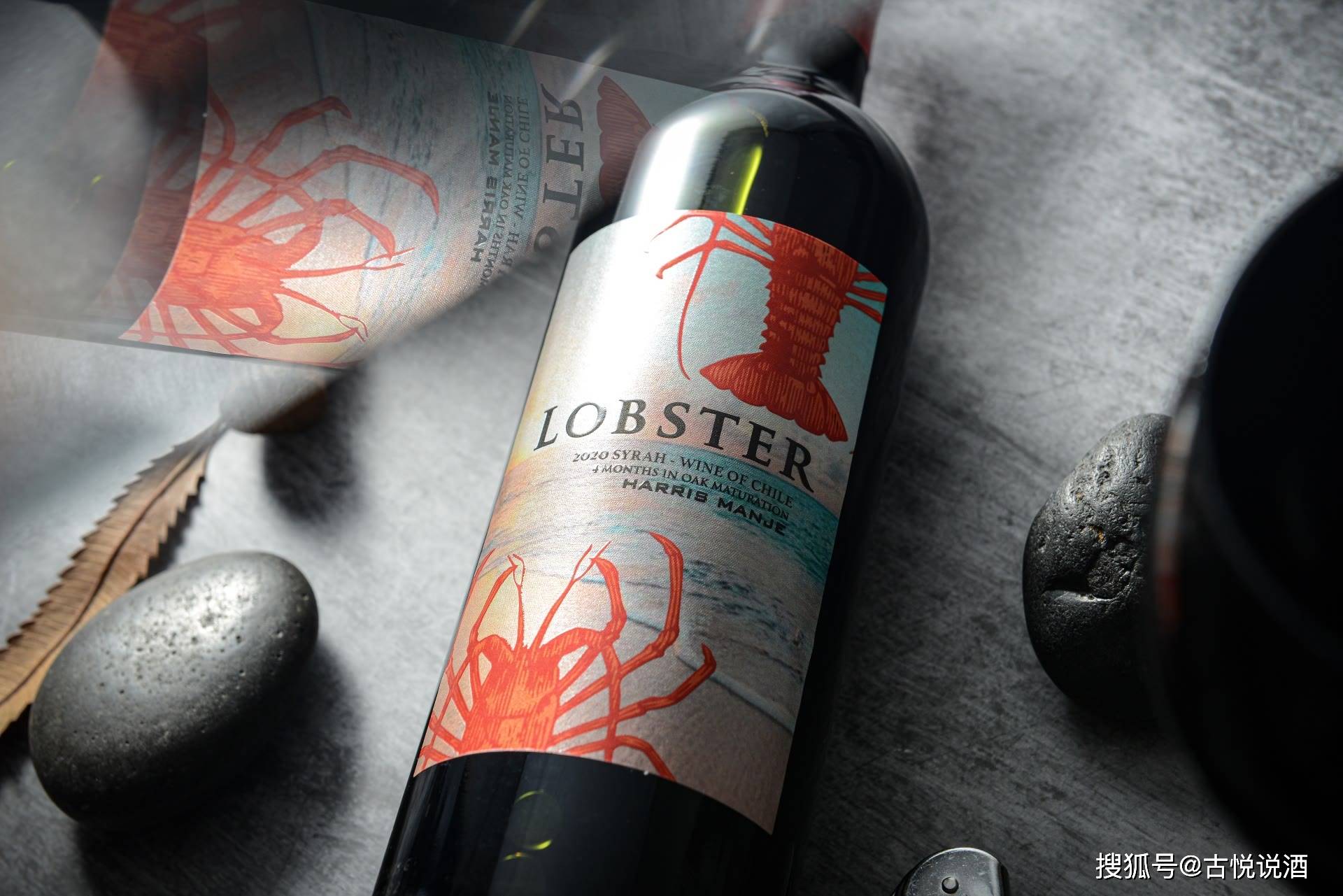 什么|葡萄酒入门八大知识 想喝好的葡萄酒一定要懂的关键知识