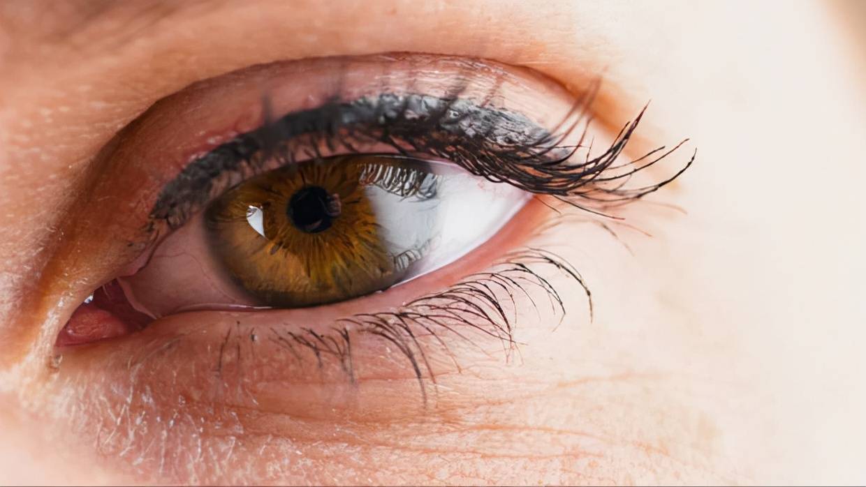 讯息|肝脏不好身体会有所体现， 注意“查收肝脏的讯息”，护肝常吃1物