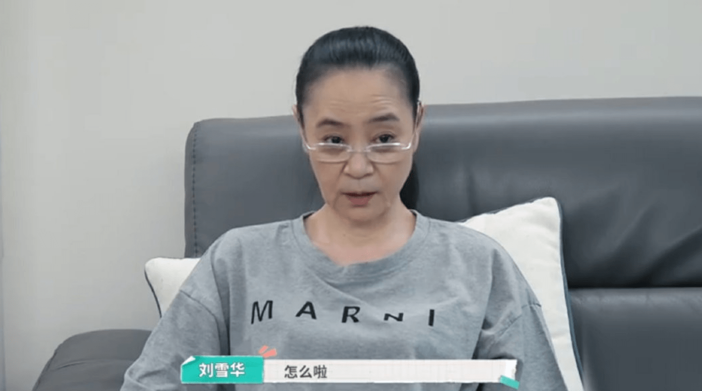 刘雪华像极了不想出门的我 豪宅遛狗保姆伺候 堪称宅女天花板 理由 新闻时间