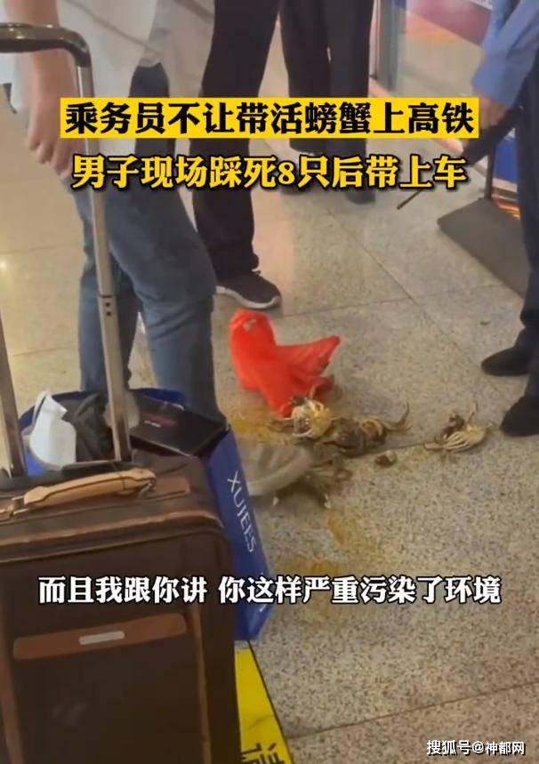 怎么养螃蟹不让螃蟹死 f6f80ce5292244b8818fff60d6ac5cc1.jpeg