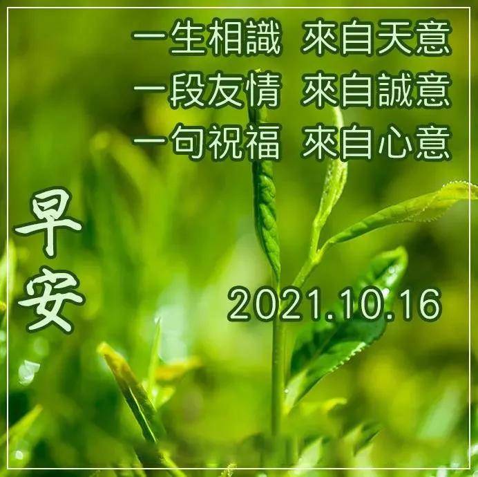 原創2021年10月16日星期六早上好問候圖片週六最新早安問候祝福圖片帶