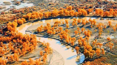 新疆的“塔里木河”，从哪里起源，又流向了哪里？