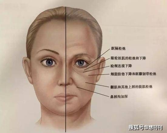 林志玲台湾女星不会老吗？这15个抗衰大佬证明永远18岁不是梦，嫩而不僵