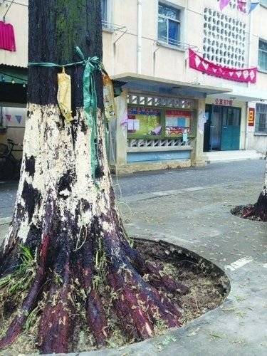 网友|小剧组为了省钱有多拼？用枸杞当血包，把树林喷白充当雪景