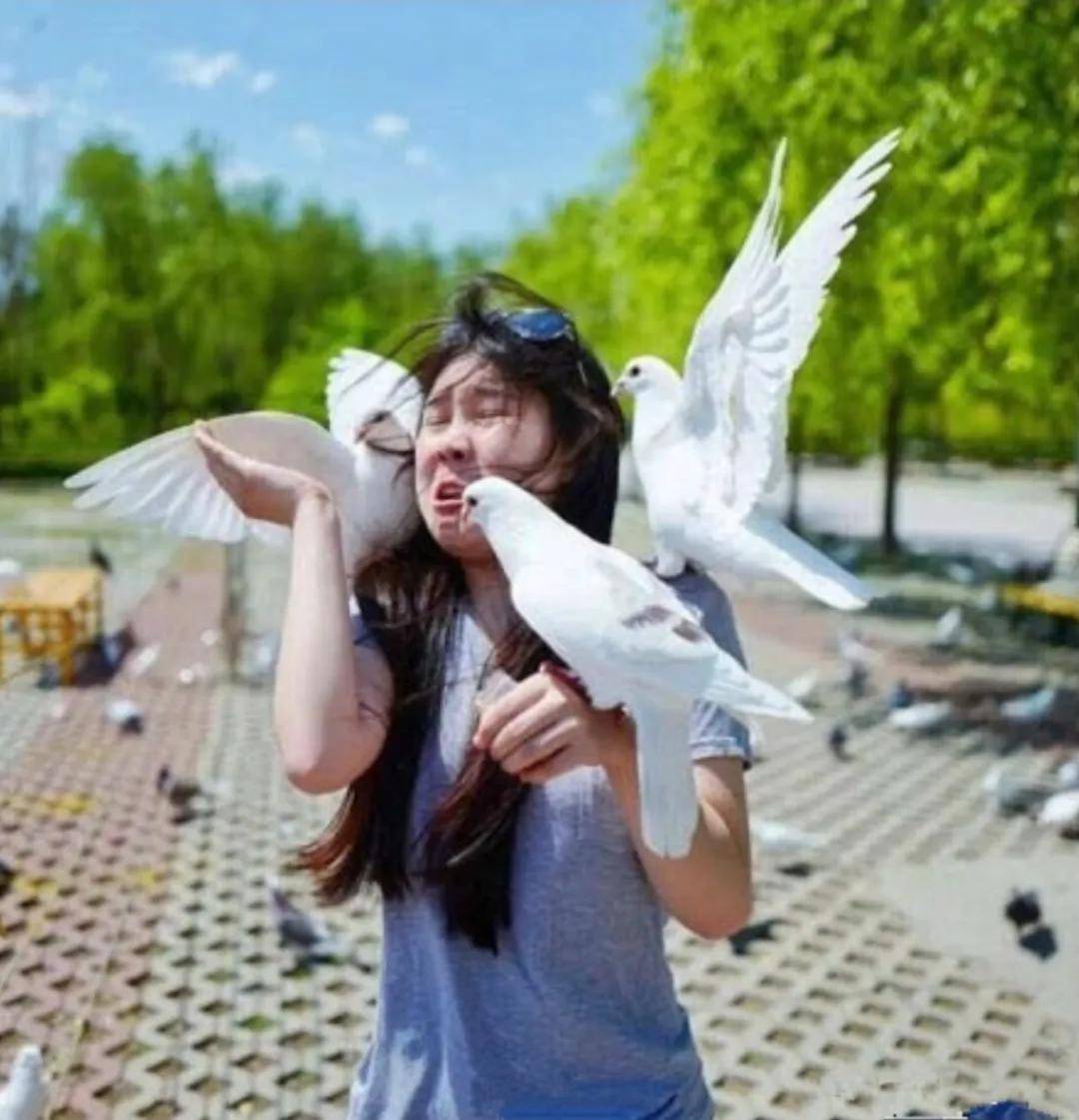 感觉老公们是如何把“拍丑照”做到全国统一的？