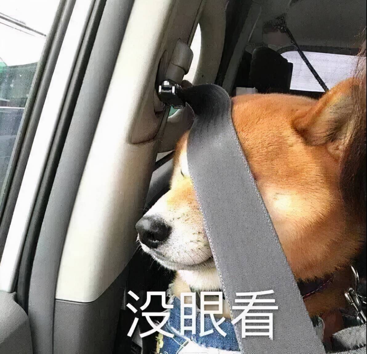 感觉老公们是如何把“拍丑照”做到全国统一的？