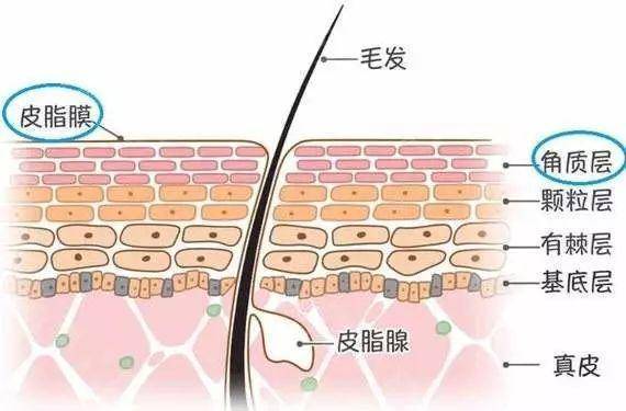 效果我觉得它是25岁+女生都应该试的东西