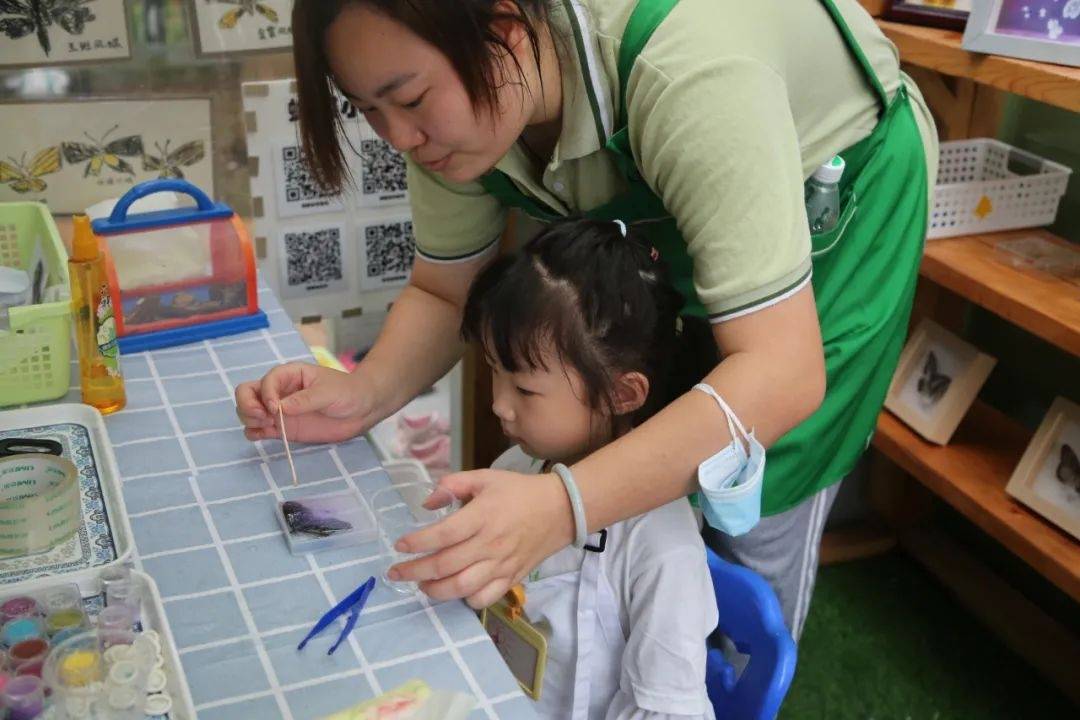 植物|一所能孵小鸡、喂小猪、养蝴蝶的学校，是什么样的？