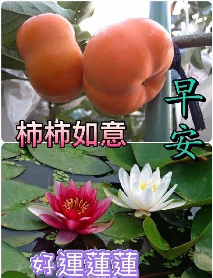 原创10月19日最新出早晨好漂亮图片带字问候语