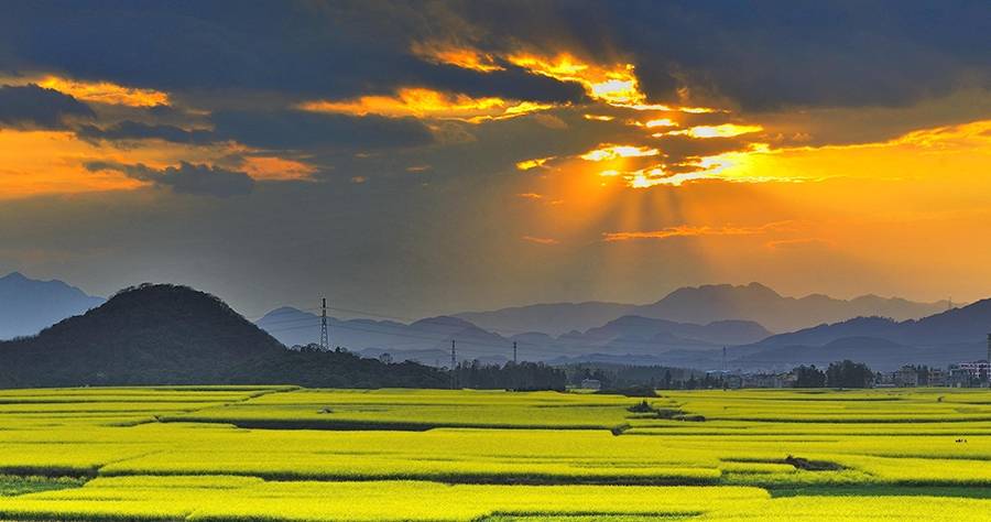 云南曲靖一个县，地处鸡鸣三省处，是观赏油菜花的胜地