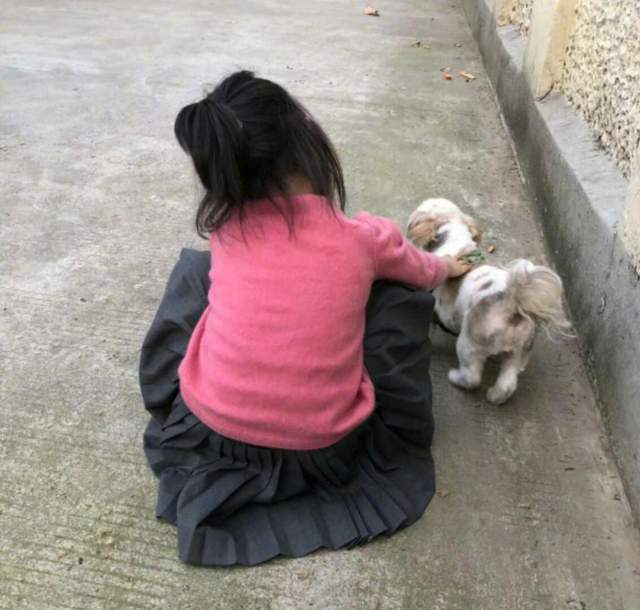 救助孙俪带儿女路边摆摊义卖，救助流浪动物获点赞，但商品定价惹争议