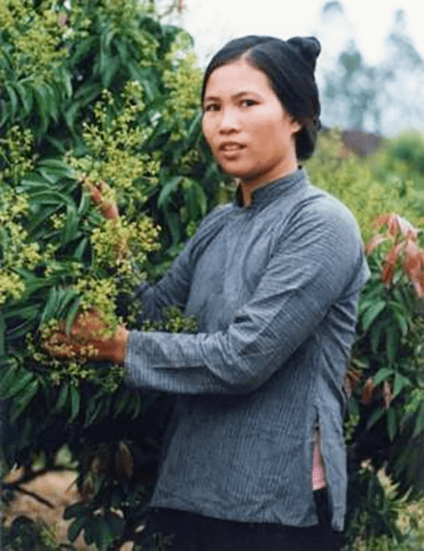 客家人的世界影响力,你想象不到_兰芳