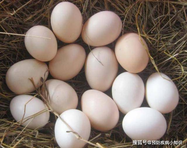 能够帮助|4种食物是肝脏“修复剂”，肝不好的人多吃些，肝脏或会更健康