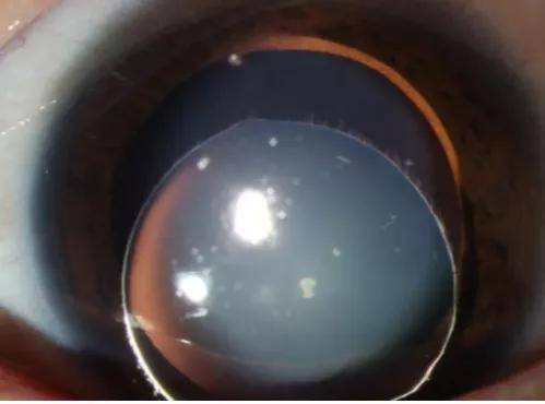 第一医院|西安市第一医院的提升与超越