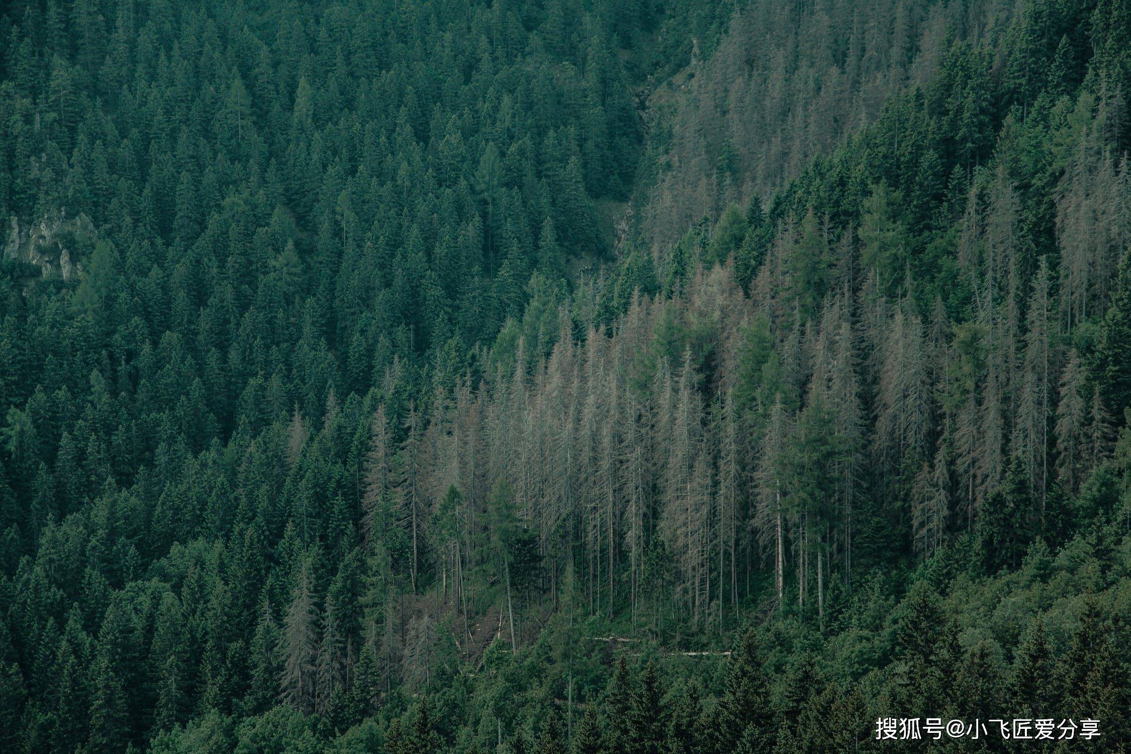 副业可以做什么 短期内快速暴利赚钱项目 月赚几十万 大佬