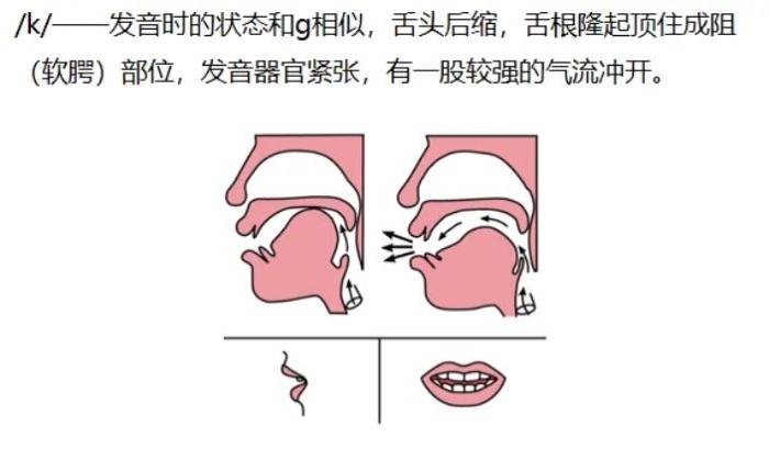 前鼻音后鼻音舌头图解图片