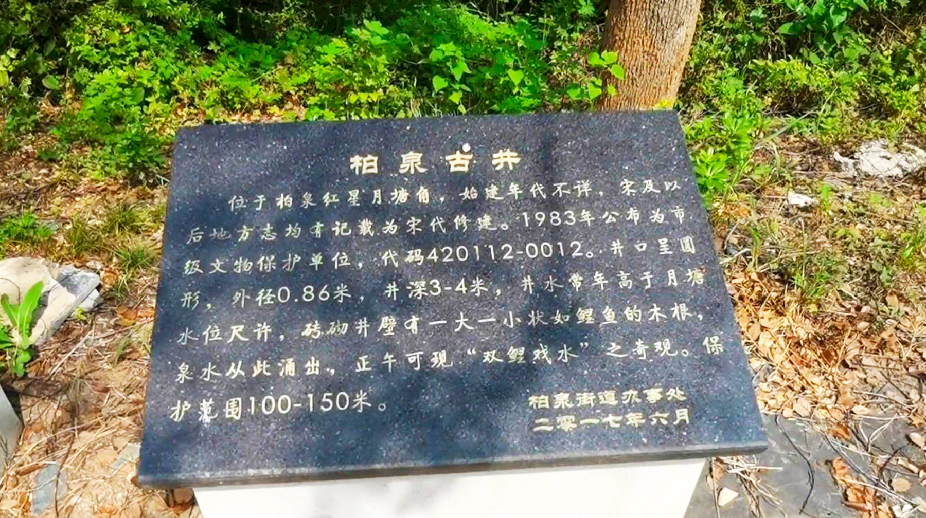 原创湖北武汉郊区有座千年古井:泉眼长流不断,水质甘冽提桶就能接