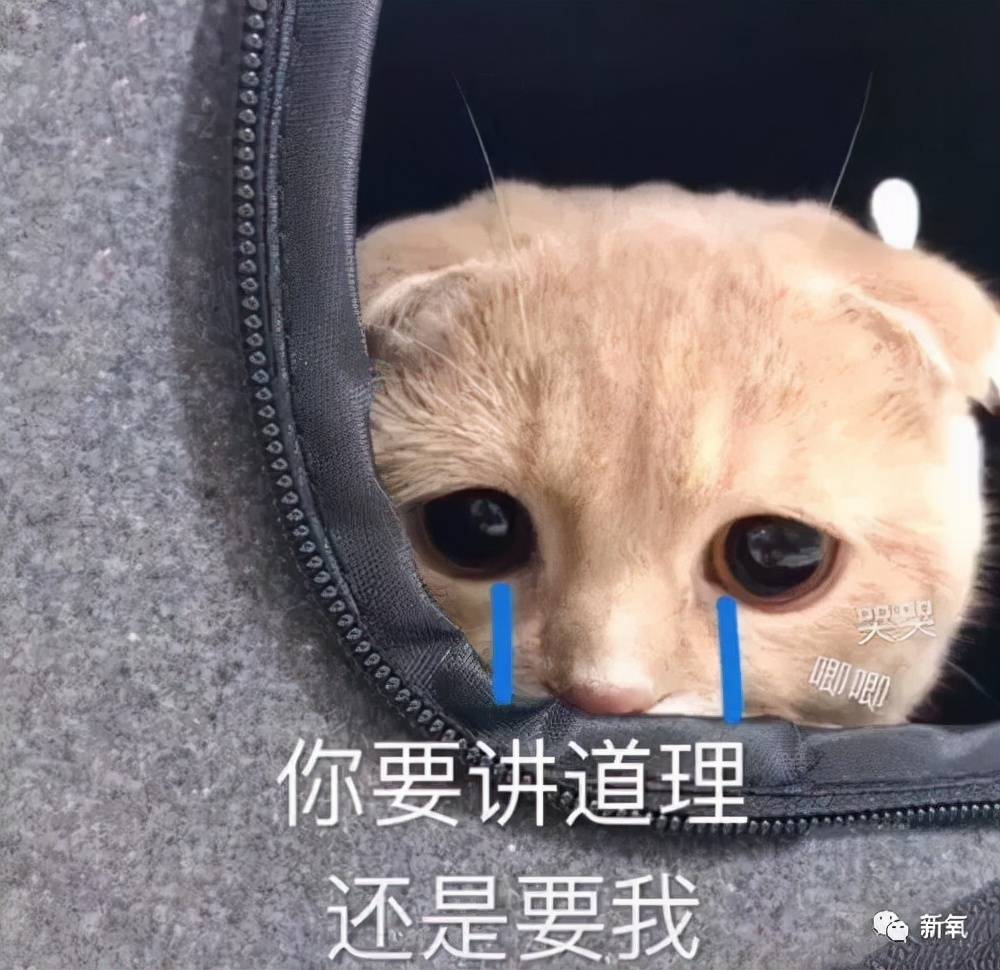 听到这次女航天员带了30瓶精华上太空，我就放心了！