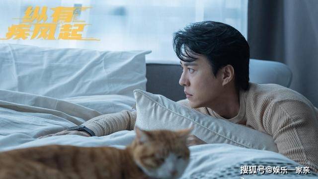 纵有疾风起 将播 靳东又演霸道总裁 与宋佳展现欢喜冤家恋爱 唐尘