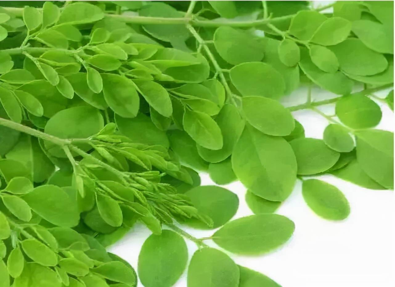 辰颐物语辣木叶小麻花牛排味添加辣木叶营养酥脆好吃不腻