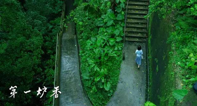 俞飞鸿|俞飞鸿的美，救不了《第一炉香》