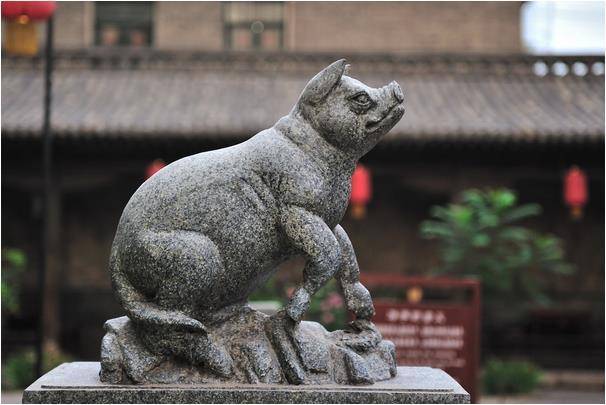 财不入急门,福不入偏门:71年"猪猪猪",9月中旬"不差钱"!