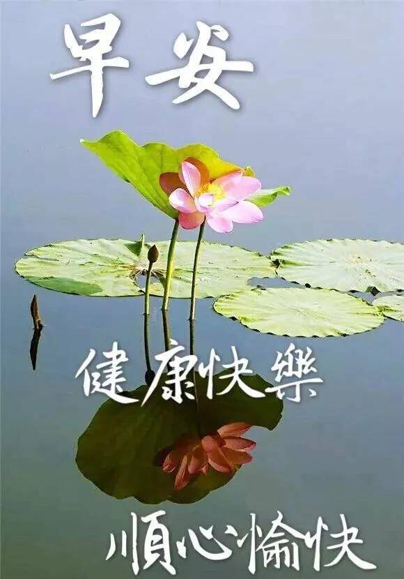 原创周一寒冷清晨最暖心早上好问候语早上好问候语动图