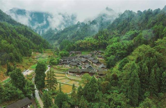 头车村：田园风光秀 魅力休闲游