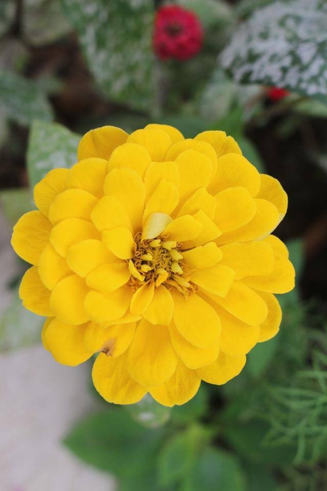 变化无常是什么生肖(打一数字动物)快捷曝出(图2) 变化无常是什么生肖(打一数字动物)快捷曝出(图2)