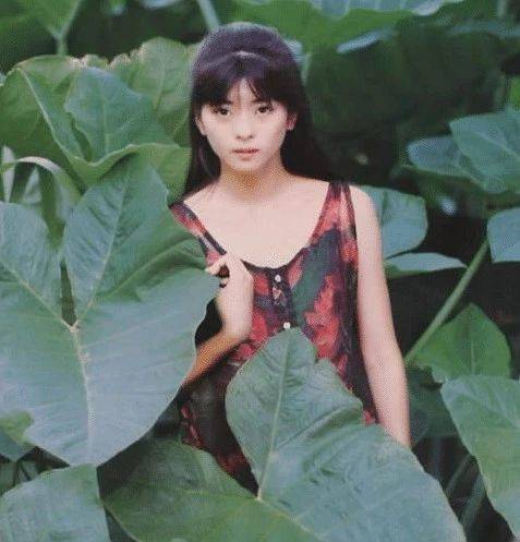 被李连杰 耽误一生 的日本红颜 风情万种美过利智 48岁至今单生 中山忍 全网搜