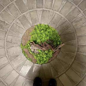 成都 全国第四家！上海爆火的买手店在成都开门营业啦！