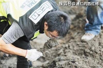 刘金启|山西煤老板花16亿买戈壁种植白杨树,只为做出属于国人的葡萄酒