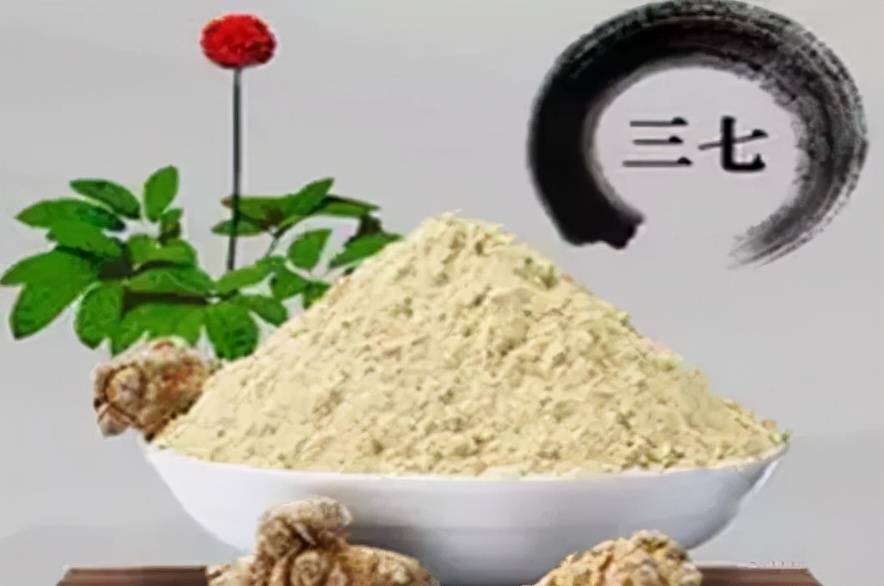 功能|【马博士聊本草】女科要药（四）： 三七的故事——“血虚无瘀忌用三七”