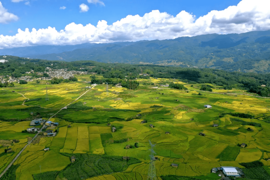 水面|美文分享丨腾冲龙川江峡谷：梯田如画稻谷香