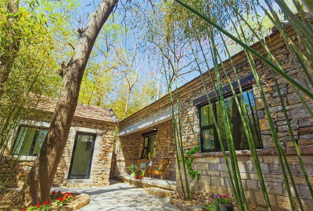 竹泉村上榜山东省最美巾帼民宿最美民宿女主人名单