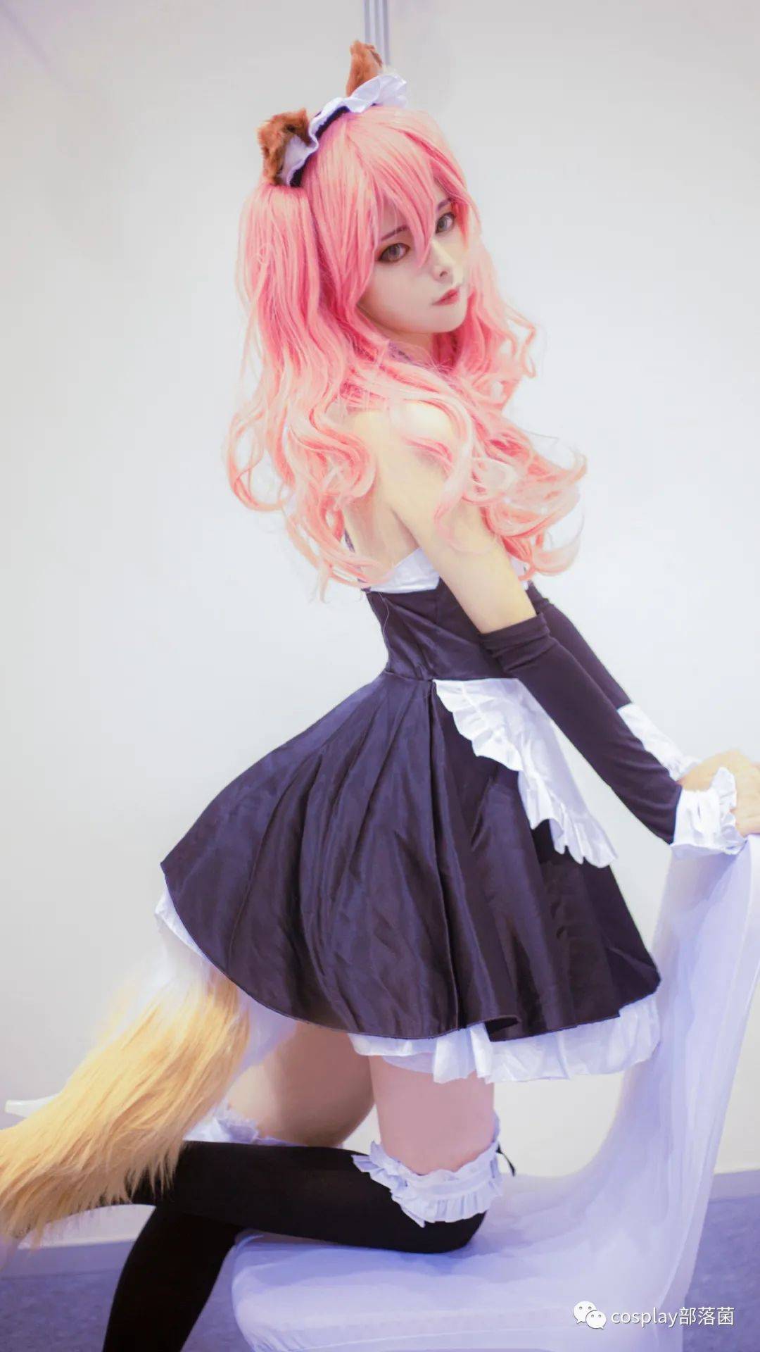 cosfgo玉藻前女仆cos正片安歌