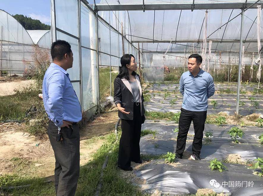 会昌县县领导张颖,王春华,彭麟分别在筠门岭镇调研指导有关工作