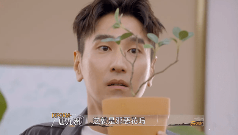 推理|一期无感，二期入坑，三期真香，这档综艺究竟有何魅力？