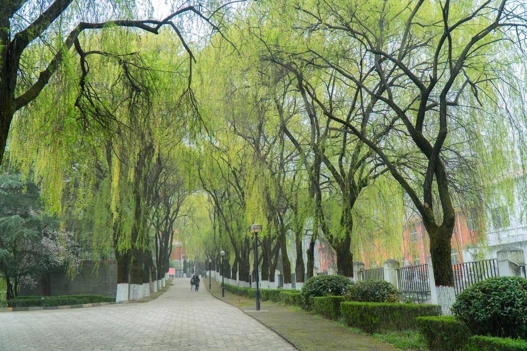 风是|西安翻译学院的风，是什么味道？