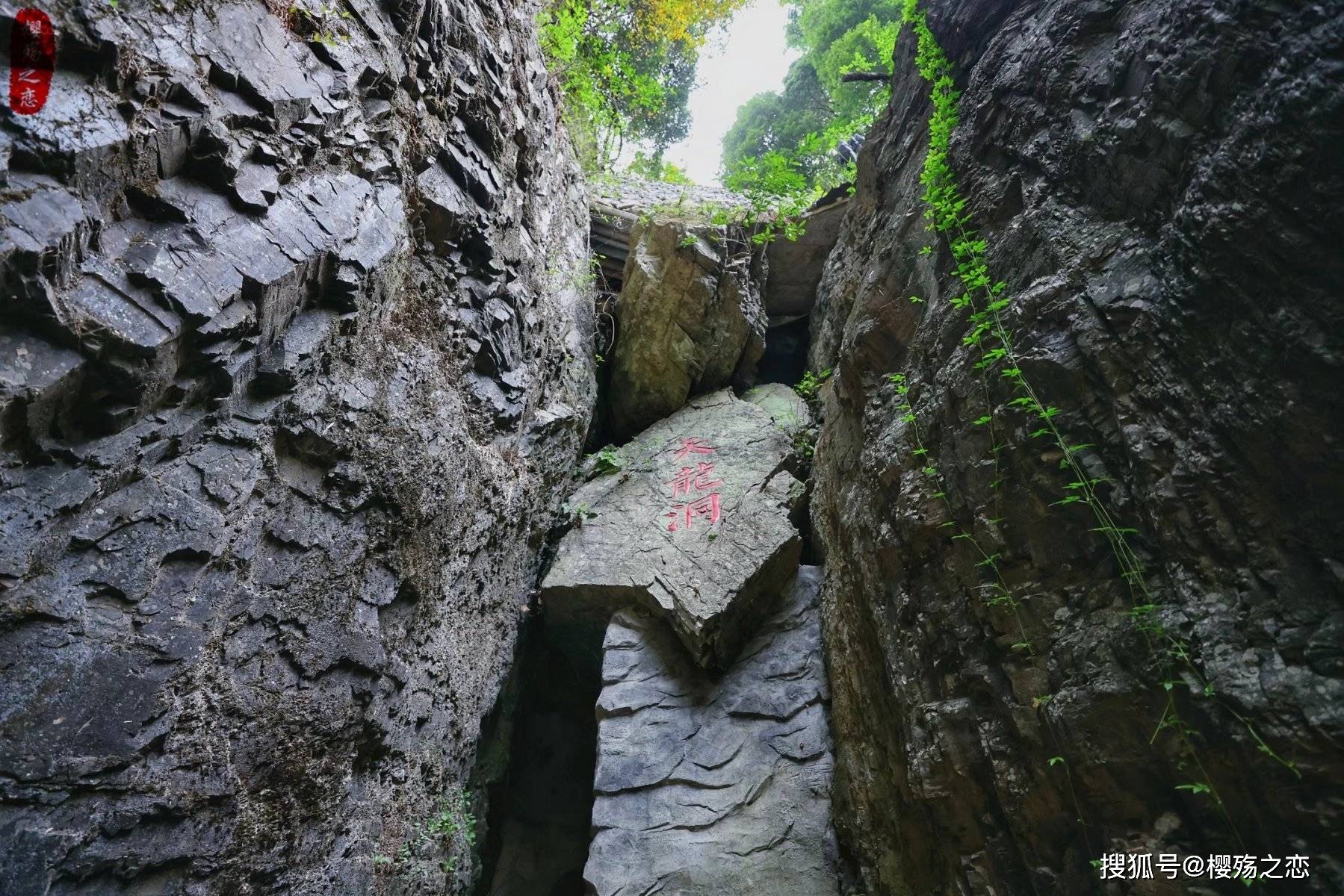 飞瀑|以“龙”为名的景区，因瀑布而闻名遐迩，被誉为江南最美瀑布之一